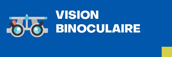 Vision binoculaire